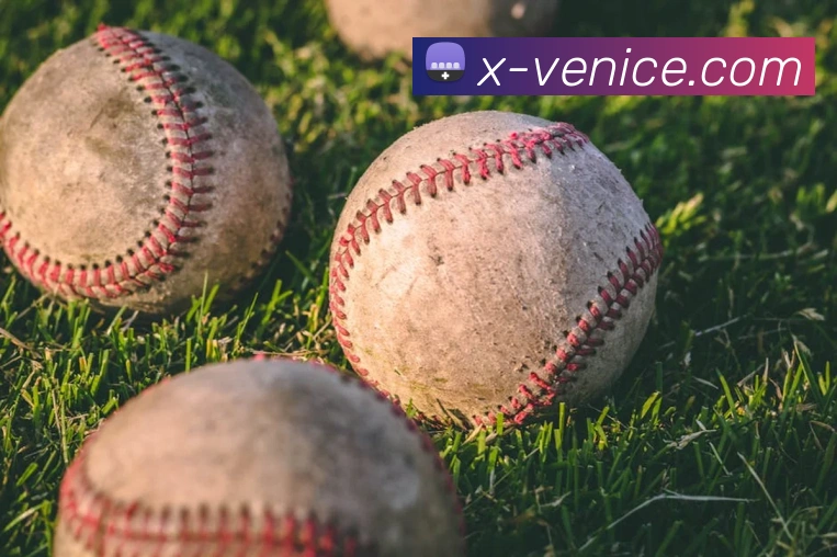 威尼斯人娱乐官网APP 封面图